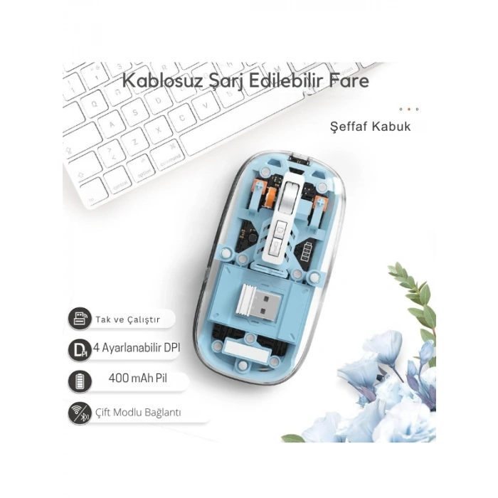 Wireless Mouse (Mavi 501 Bt - ZR1133)