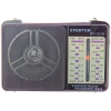 Radyo Fm/Am (AA Pille Çalışan - RT-1218)