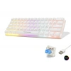Mekanik Gaming Mini Klavye Blue Switch Rgb - Beyaz G508B