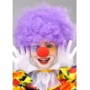 Mor Renk Kıvırcık Afro Bonus Peruk Takma Saç ve Kırmızı Burun Seti