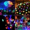 50 Led Papatya (Solar 5 M - RGB 8 Fonksiyonlu)