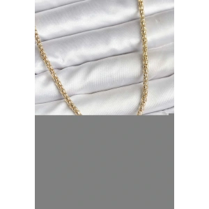 14K Gold Renk Kaplama Boru Zincir Model CM Kadın Kolye