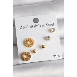 316L Çelik Gold Renk Zirkon Taşı Labirent Model Kadın Küpe Seti