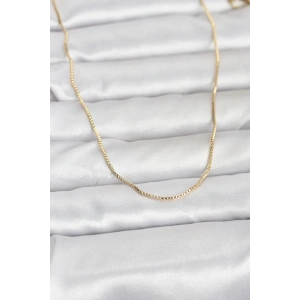CM 14K Gold Renk İnce Kare Zincirli Model 60 cm Kadın Kolye