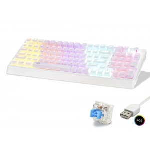 QTr Klavye (104 Tuş, USB Kablolu, Blue Switch Rgb - Beyaz G500XW)