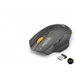 Mouse (Şarjlı, 3 Mode, 12800 Dpi, 7 Tuş Makro, 1000Hz Rgb, Siyah - W601B)