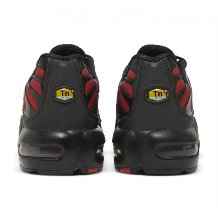 Nike Air Max Tn Plus Bred Gradient