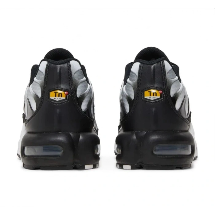 Nike Air Max Tn Plus Black Metallic Silver