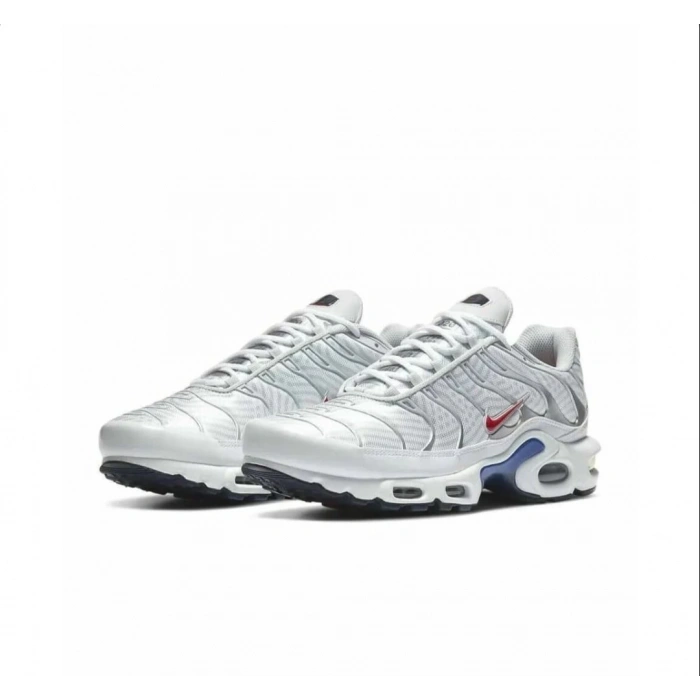 Nike Air Max Tn Plus Euro Tour Particle Grey