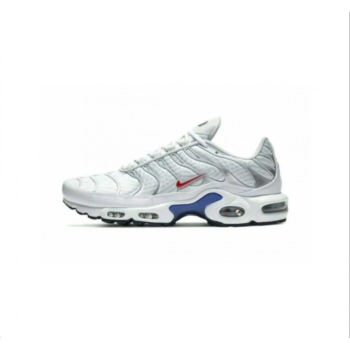 Nike Air Max Tn Plus Euro Tour Particle Grey