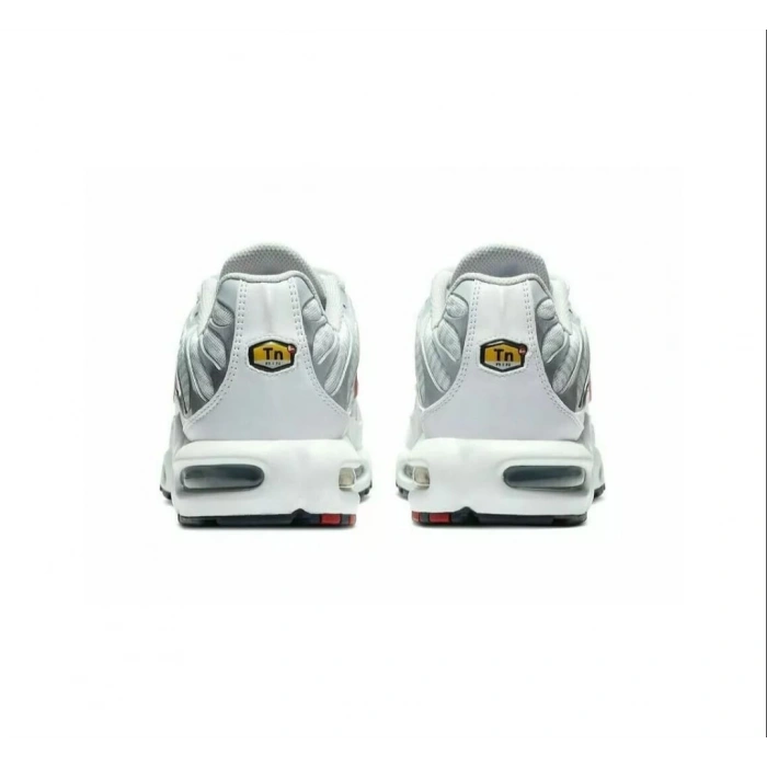 Nike Air Max Tn Plus Euro Tour Particle Grey