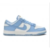 Nike Dunk Low Coast