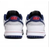 Nike Dunk Low Retro EMB 75th Anniversary Nets