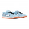 Nike Dunk Low Pro Gulf
