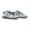 Nike Dunk Low Pro Thunderstorm