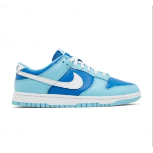 Nike Dunk Low Retro QS Argon 2022