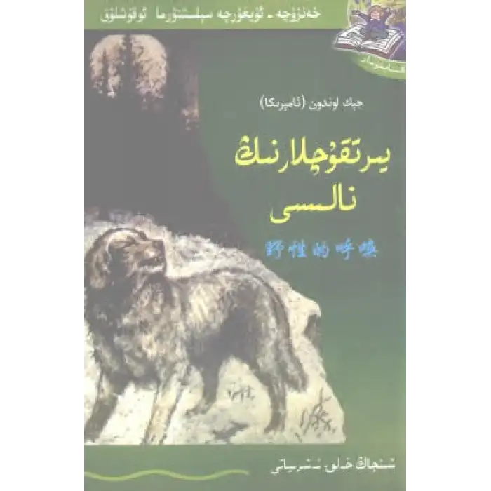 يىرتقۇچلارنىڭ نالىسى