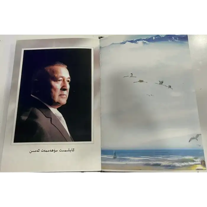 ھايات نىدالىرى