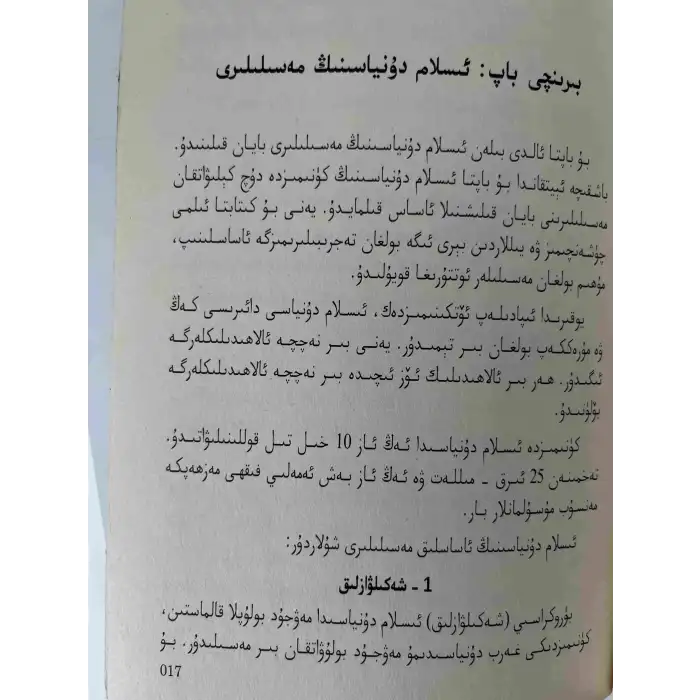 The Islamic world today