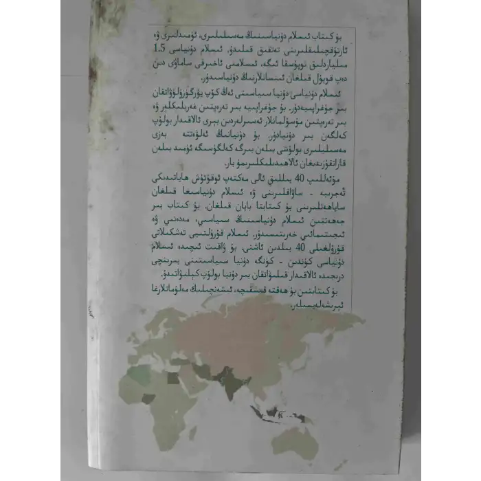 The Islamic world today