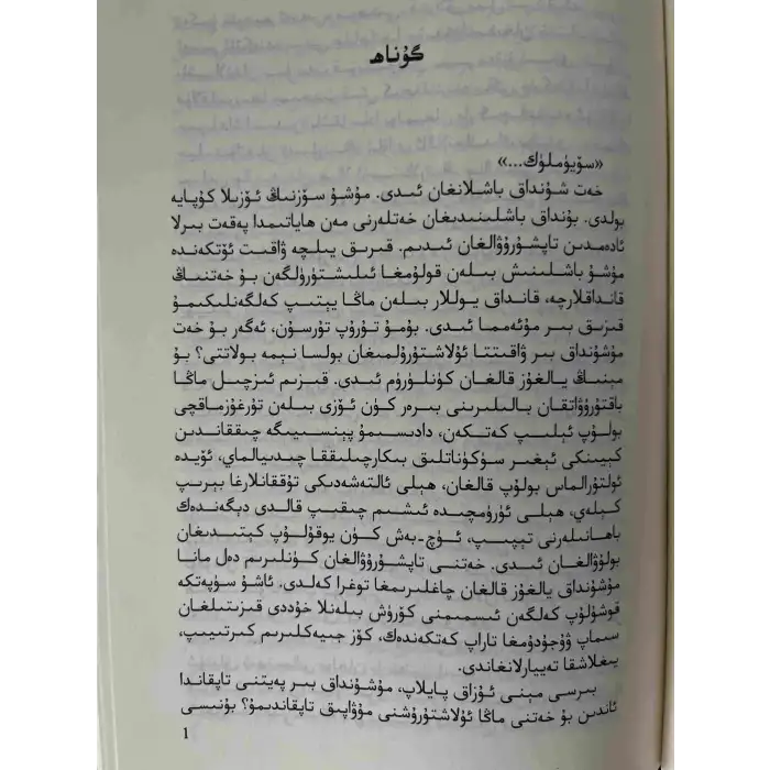 شولا (رومان)