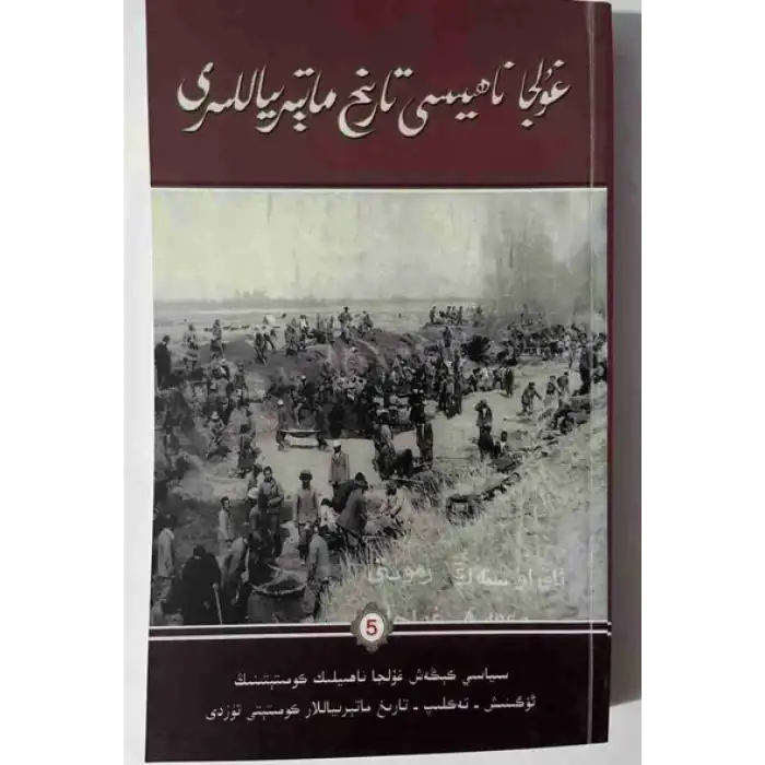Yining İlçesi Tarihi Malzemeleri