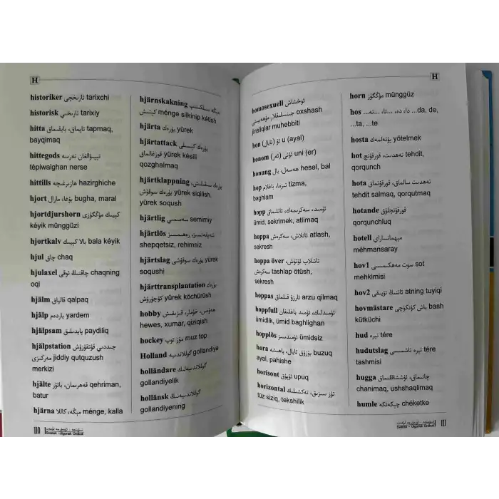 شىۋېتچە-ئۇيغۇرچە لۇغەت