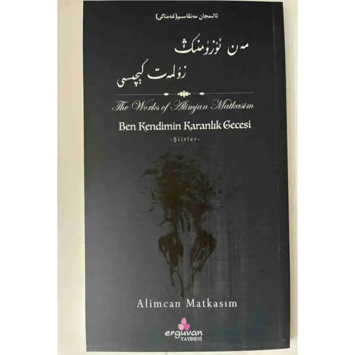 Ben kendi karanlık gecemdeyim