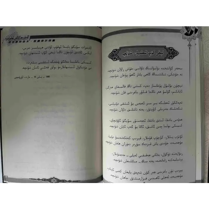 Abdurehim Ötkür Poems