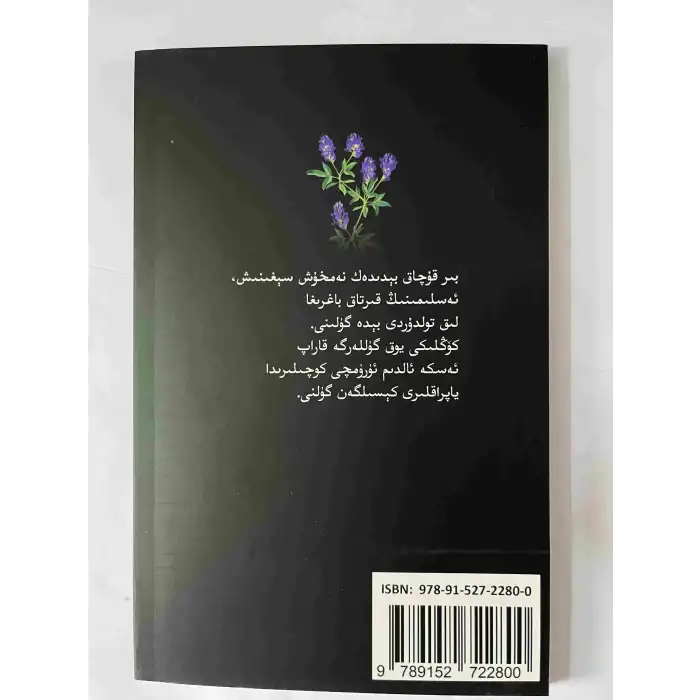 ئىككى كۆز ئىككى يۈز