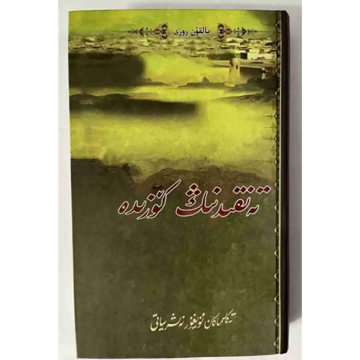 Eleştirinin gözünde