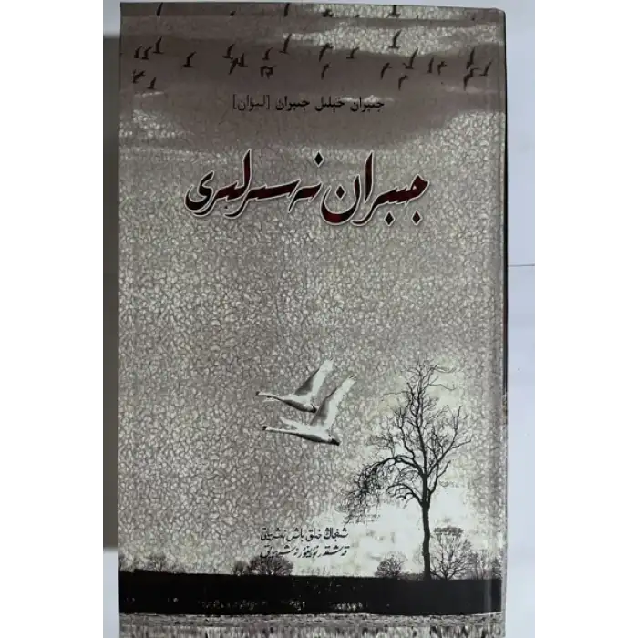 جىبران نەسىرلىرى