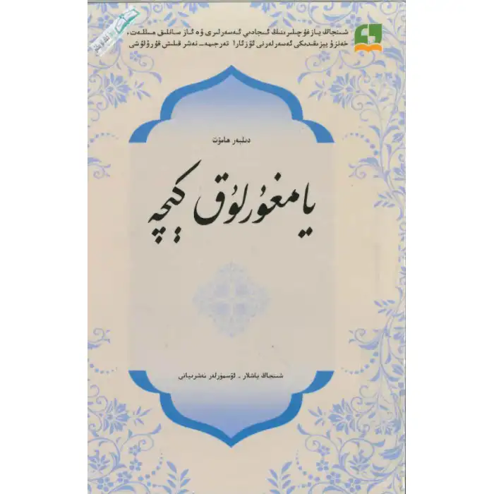 يامغۇرلۇق كېچە