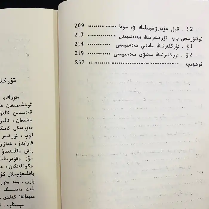 History of Turkish Kagani