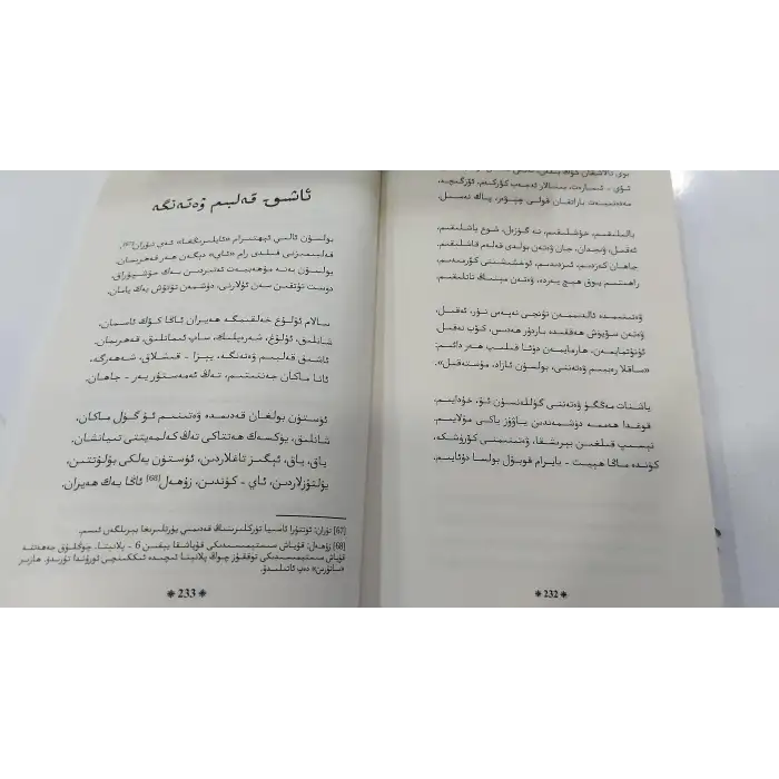 تۈركىستان-مەركىزىي ئاسيا ۋە تۈركسىتان سۆيگۈسى