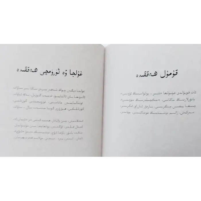 تۈركىستان سۆيگۈسى