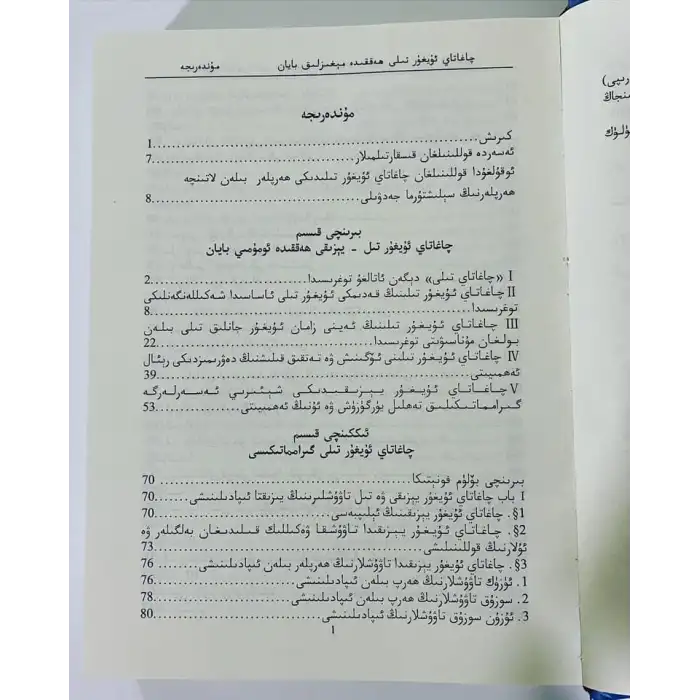 چاغاتاي ئۇيغۇر تىلى ھەققىدە مېغىزلىق بايان
