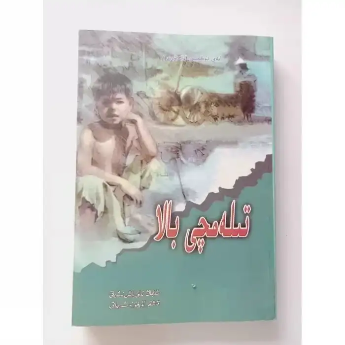 تىلەمچى بالا