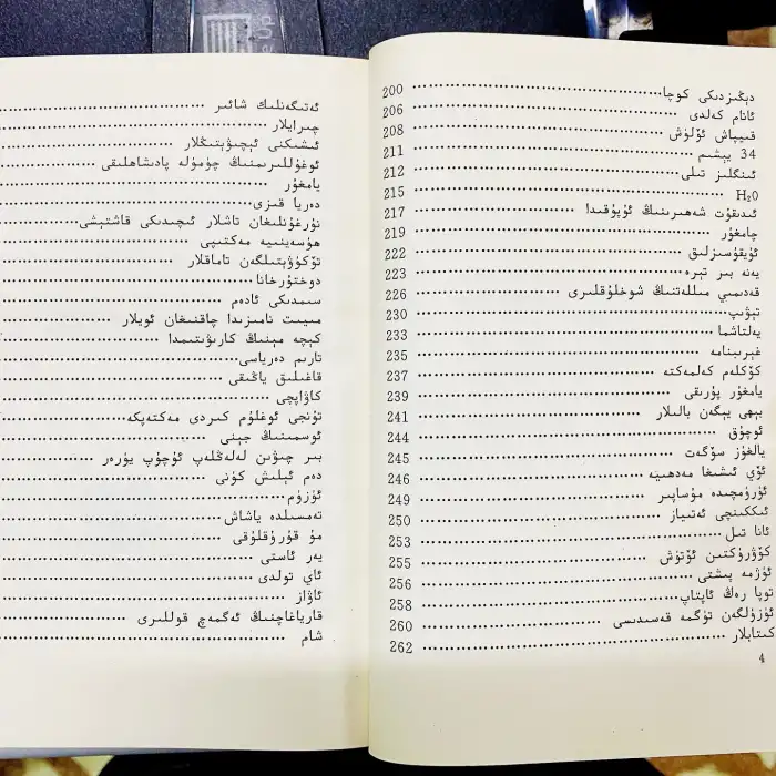 The street on the sea.