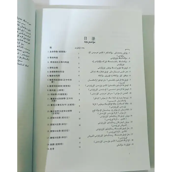 ئادەم ئاناتومىيىسىنىڭ رەڭلىك ئاتلىسى