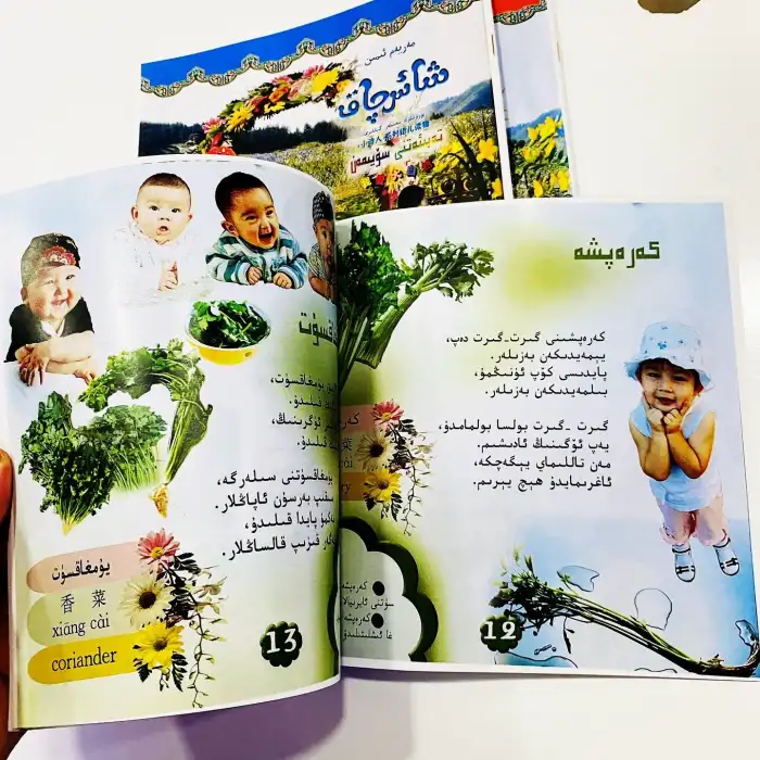 شائىرچاق-كۆكتاتلار