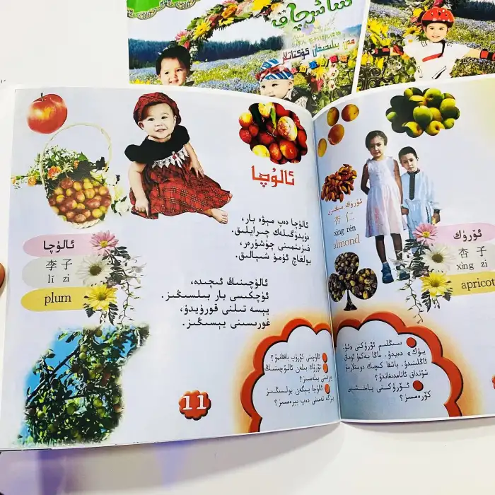 شائىرچاق-مېۋىلەر