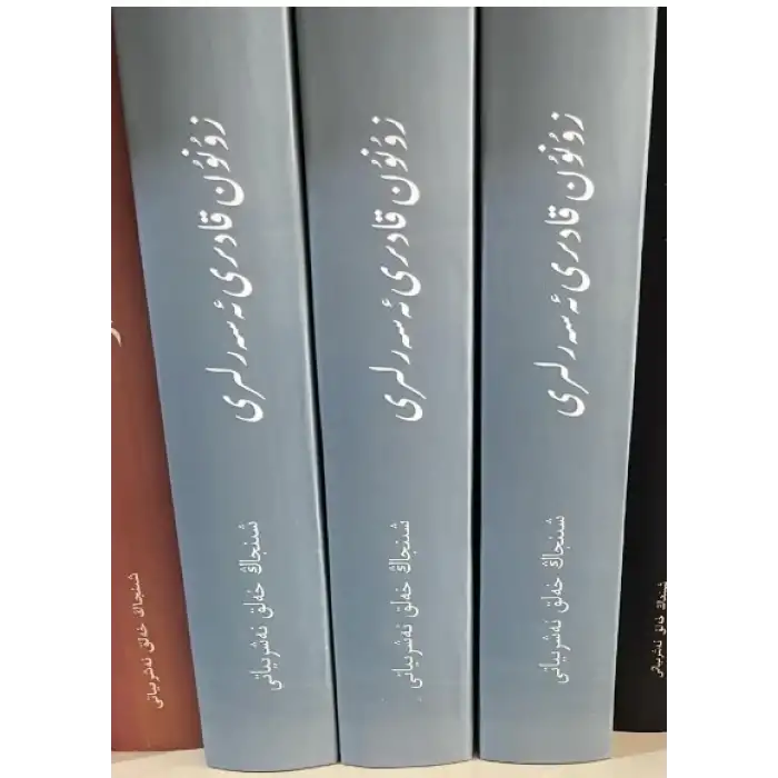 زۇنۇن قادىر ئەسەرلىرى