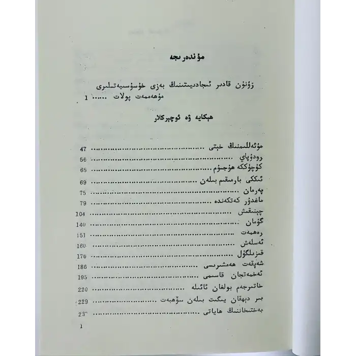 زۇنۇن قادىر ئەسەرلىرى