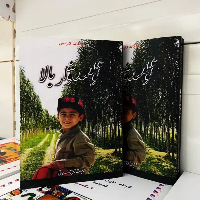 ئۈمىدۋار بالا