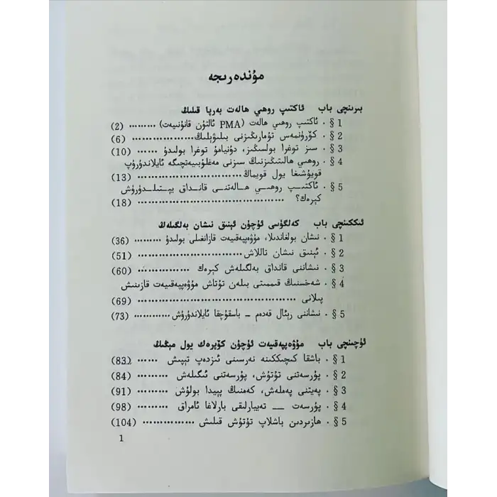 مۇۋەپپەقىيەت دەستۇرى 1