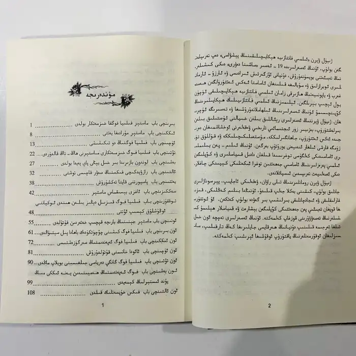 يەر شارىنى 80 كۈندە ئايلىنىش