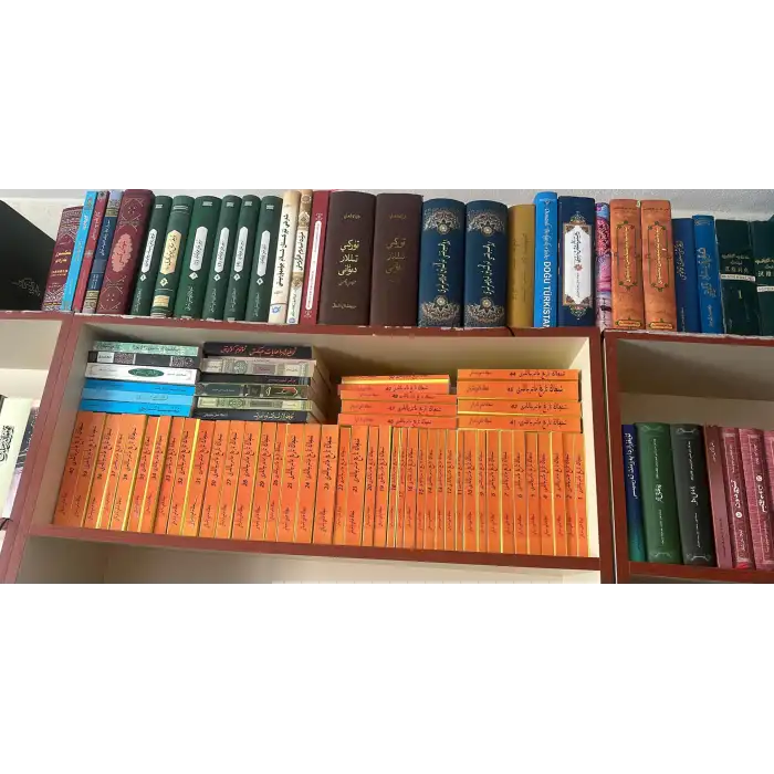 شىنجاڭ تارىخ ماتېرىياللىرى (جەمئىي 49 قىسىم)