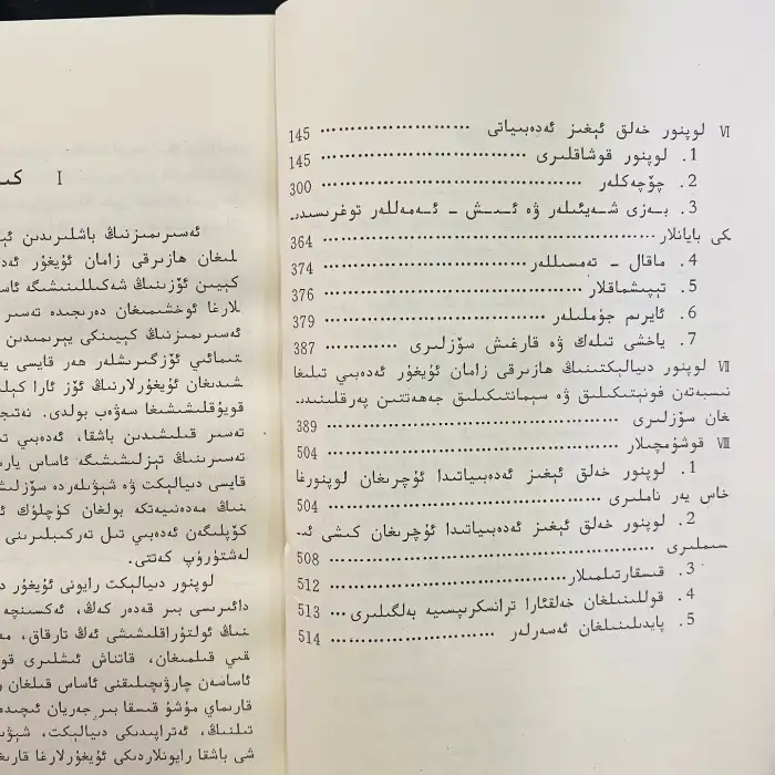 ھازىرقى زامان ئۇيغۇر تىلىنىڭ لوپنور دىيالېكىتى