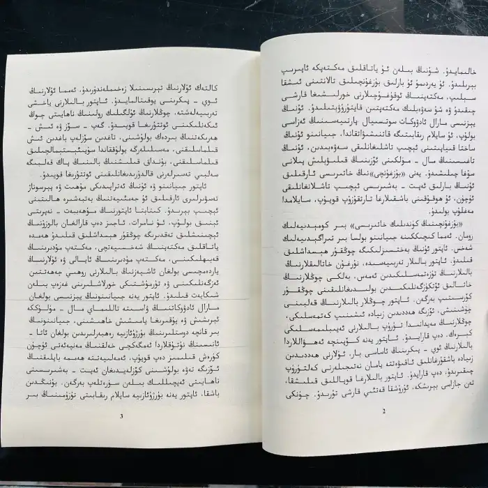 بۇزغۇنچىنىڭ كۈندىلىك خاتىرىسى